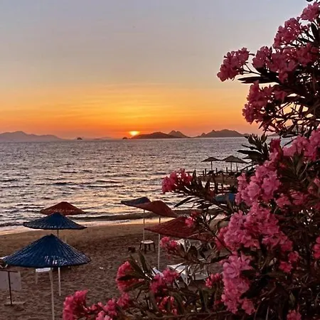Sea,quality Sunset! 1 Apartmán *